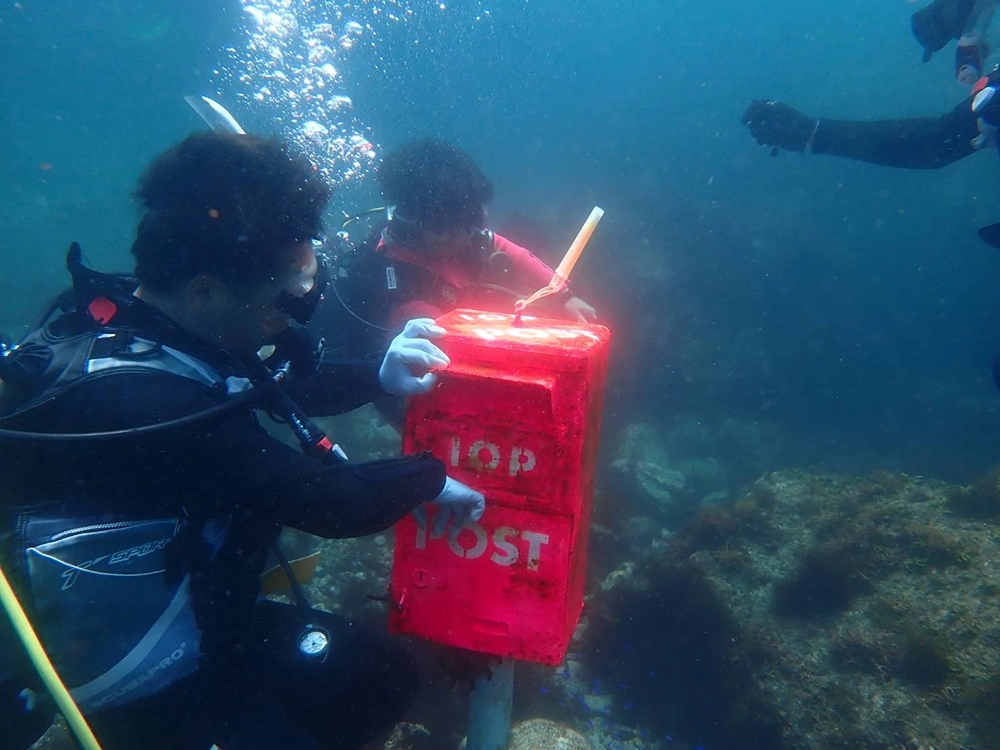 伊豆の海でダイビング
